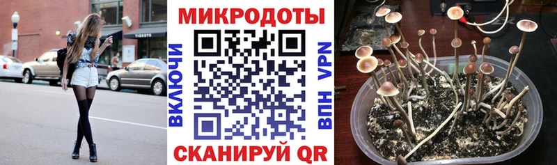 Галлюциногенные грибы мицелий Верхоянск
